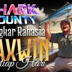 Shark Bounty Gampang Maxwin Bongkar Rahasia Slot Maxwin Setiap Hari di Tahun 2025